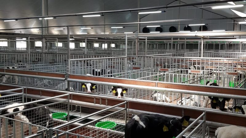 揭秘亚马逊选品秘诀：如何精准把握市场脉搏